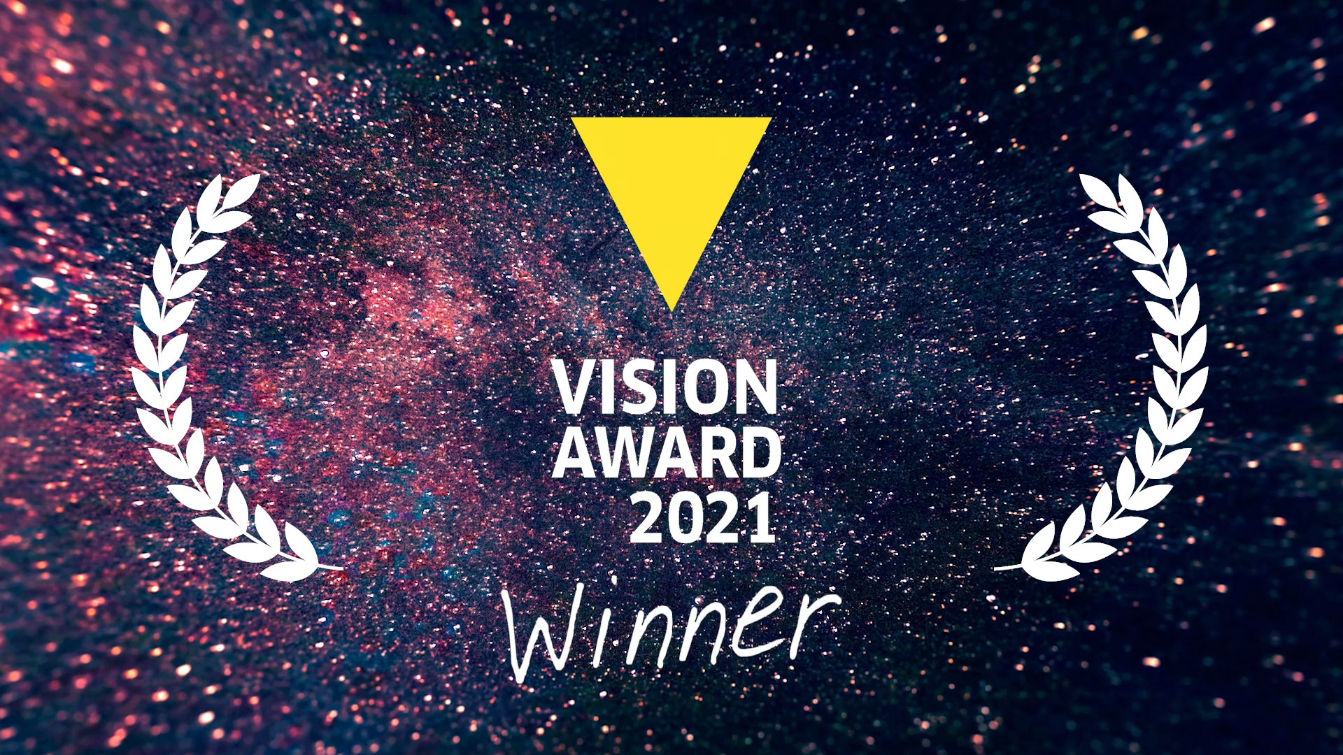 VISION Award