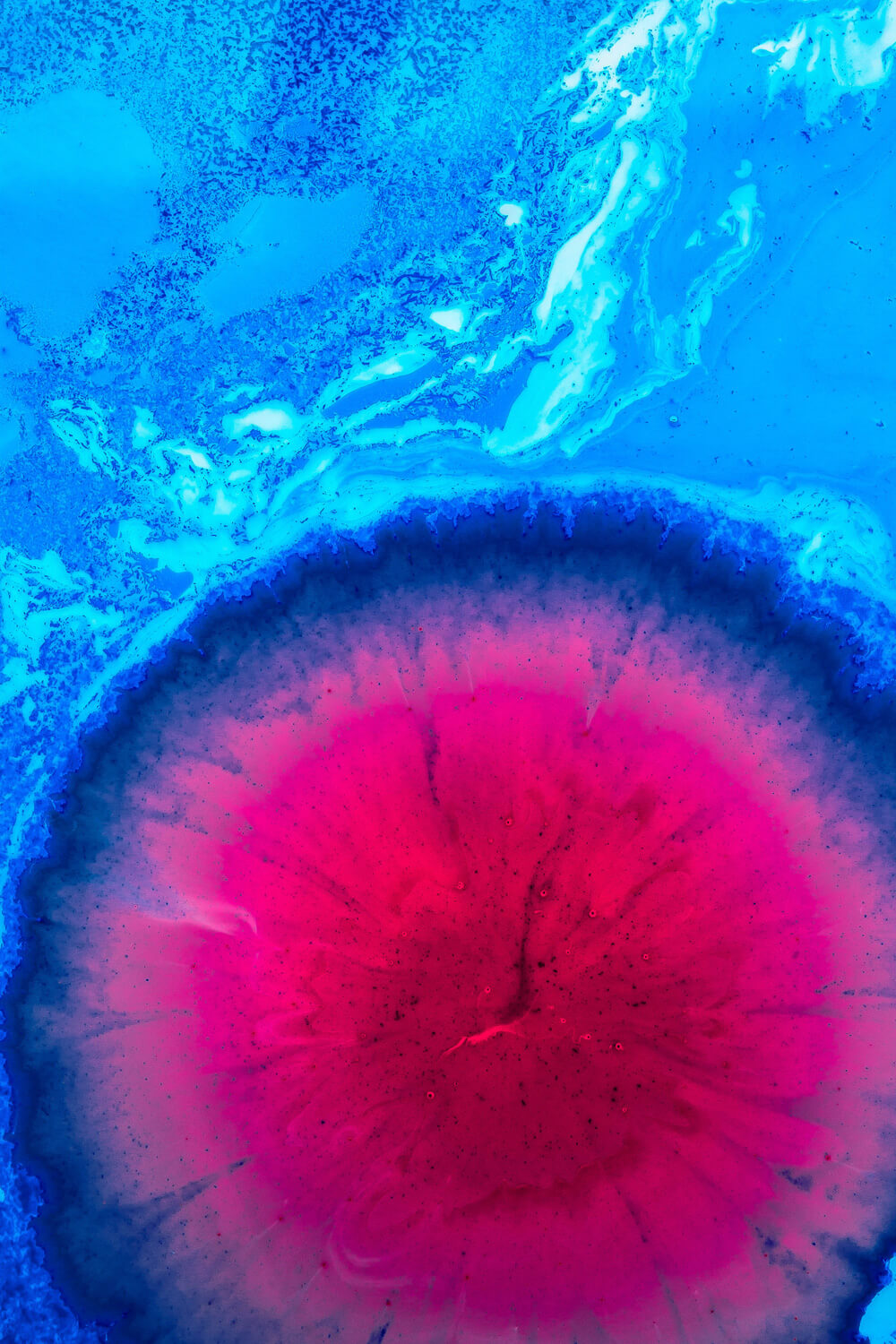 biographic-1 bio inspired